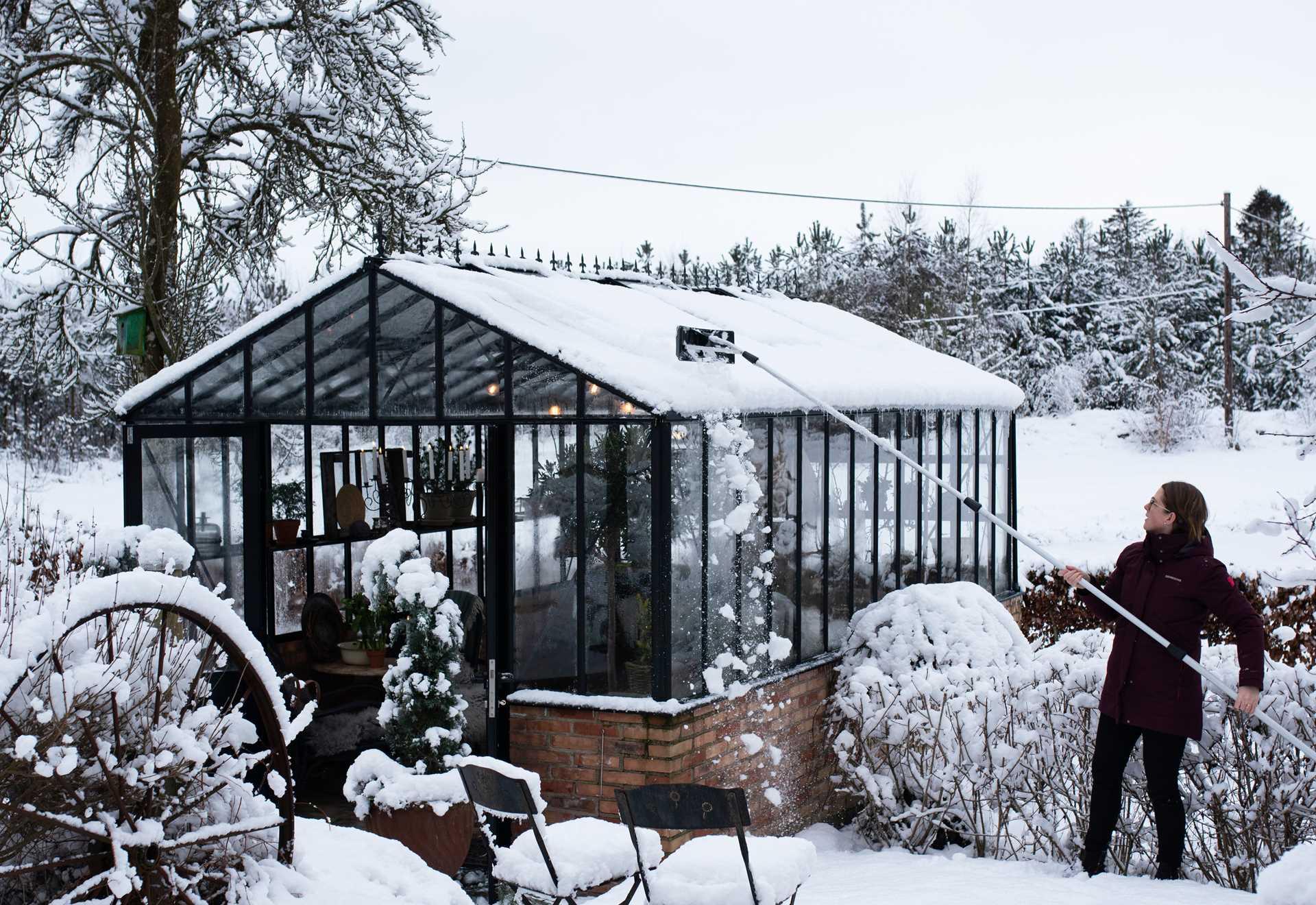 elin_alexandra_photography_willab_garden_2021_januari_18.jpg (1)